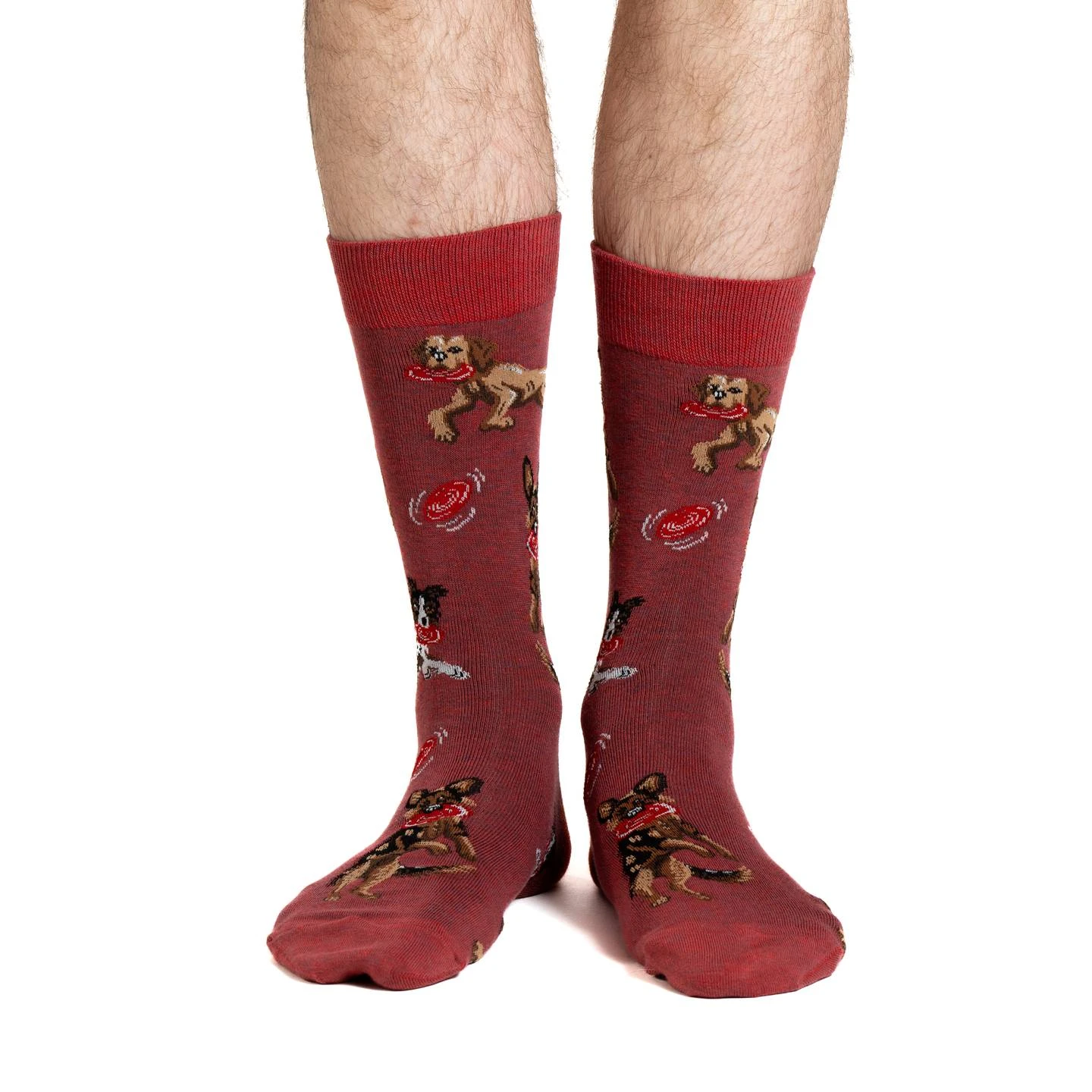 Men's Dogs Catching Frisbees Socks 2 Men's Dogs Catching Frisbees Socks - Image 2