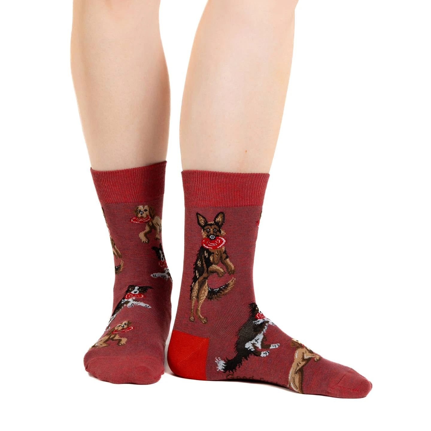 Women's Dogs Catching Frisbees Socks 2 Women's Dogs Catching Frisbees Socks - Image 2