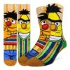 Men's Sesame Street, Bert And Ernie Socks