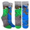 Women's Sesame Street, Oscar And Cookie Monster Socks