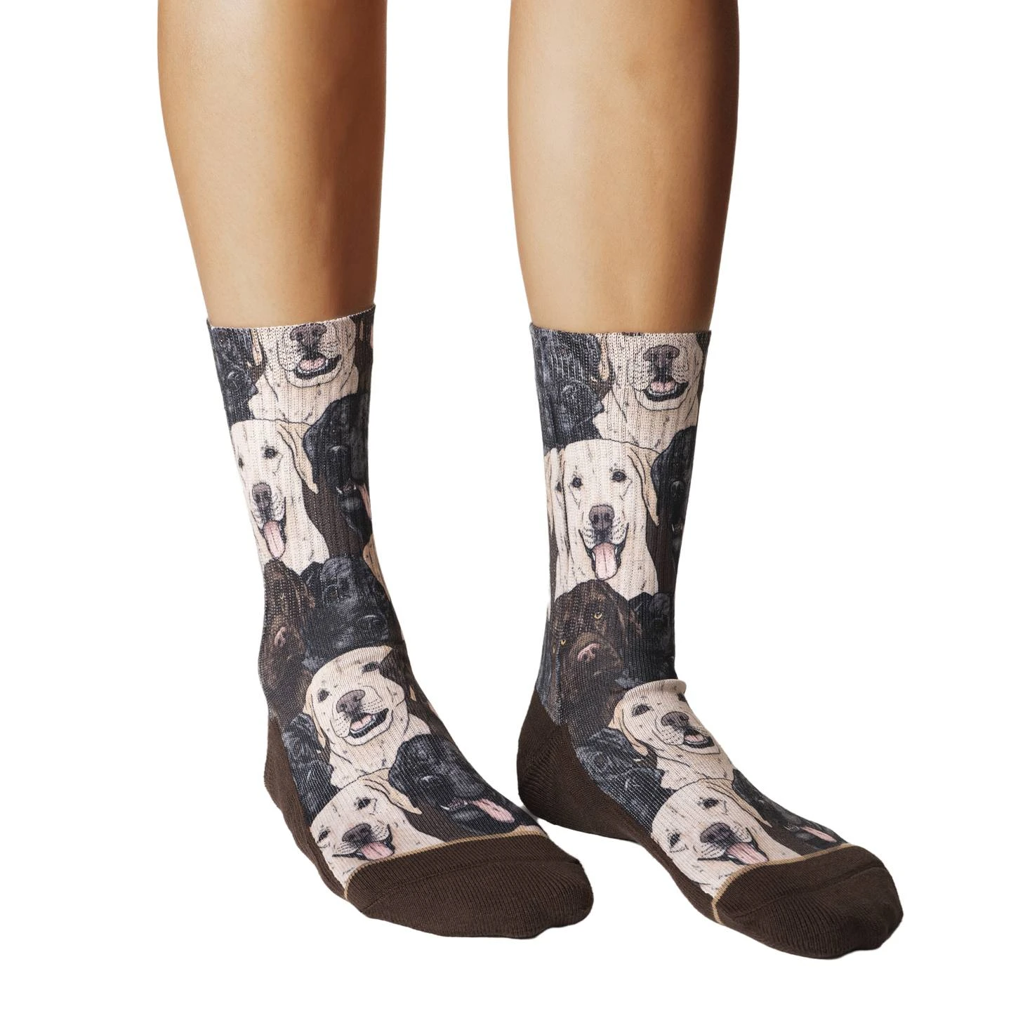 Women's Labrador Retrievers Socks 2 Women's Labrador Retrievers Socks - Image 2