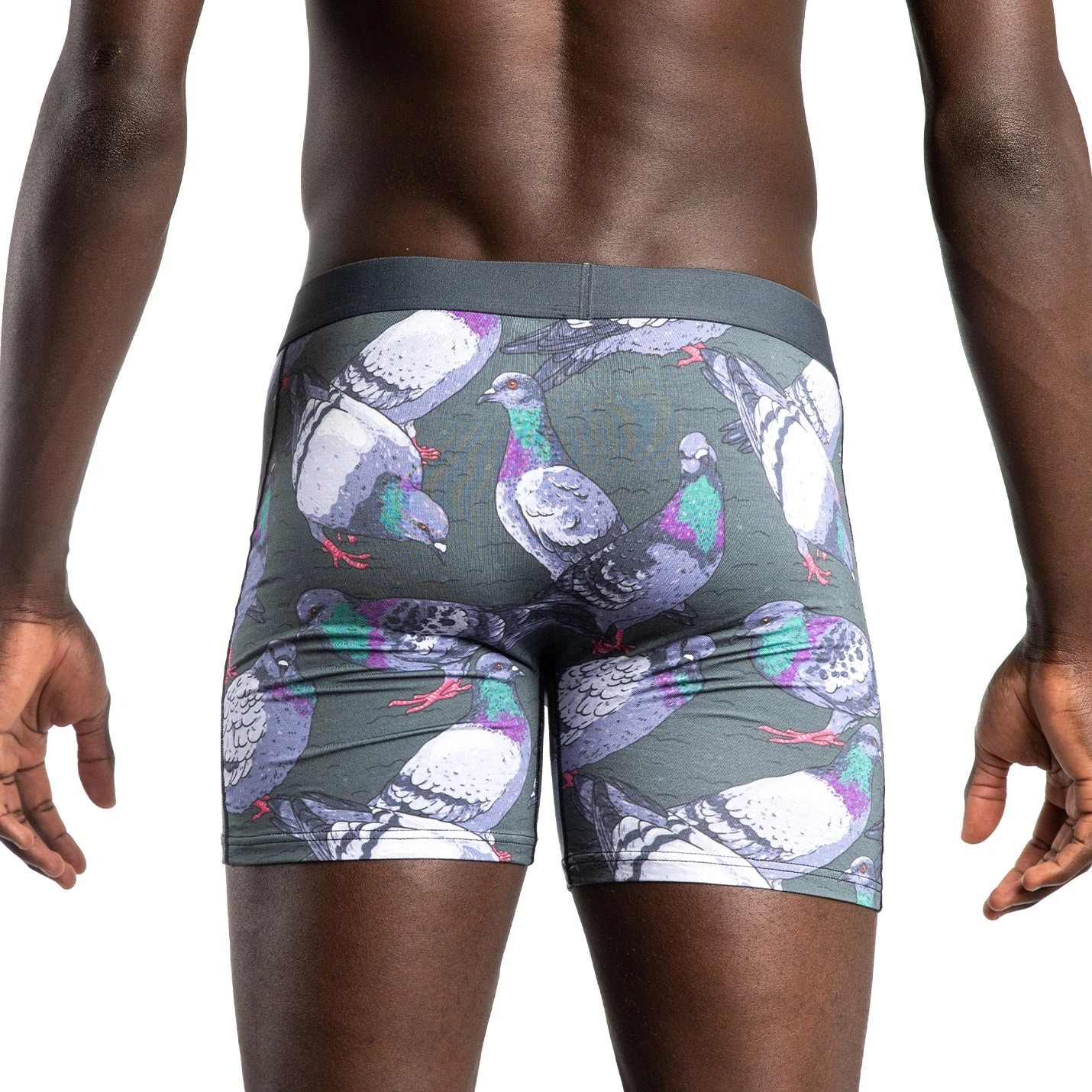 Men's Pigeons Underwear 4 Men's Pigeons Underwear - Image 4