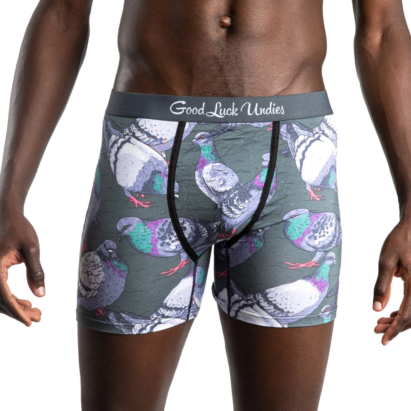 Men's Pigeons Underwear 2 Men's Pigeons Underwear - Image 2