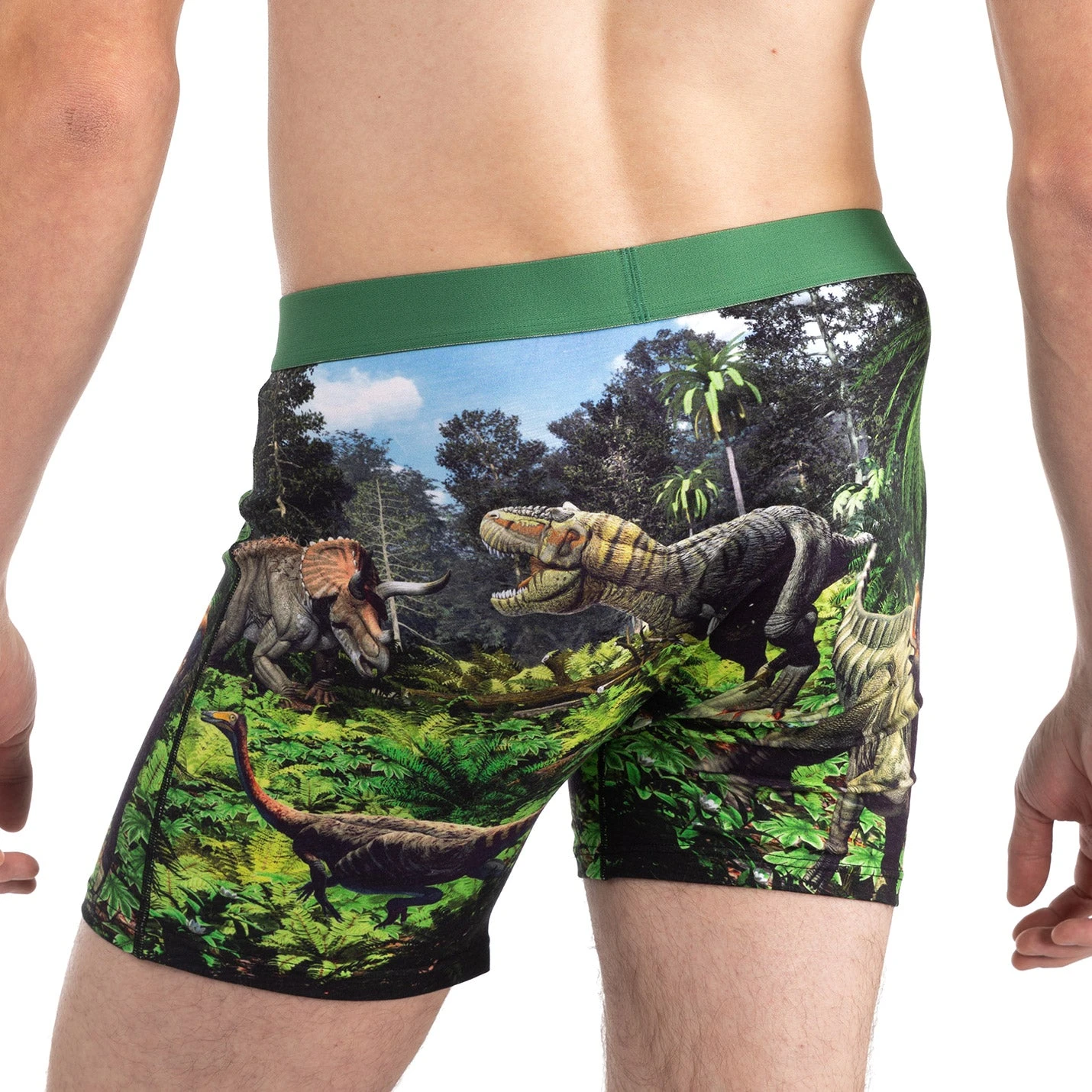 Men's Dinosaur Valley Underwear 4 Men's Dinosaur Valley Underwear - Image 4