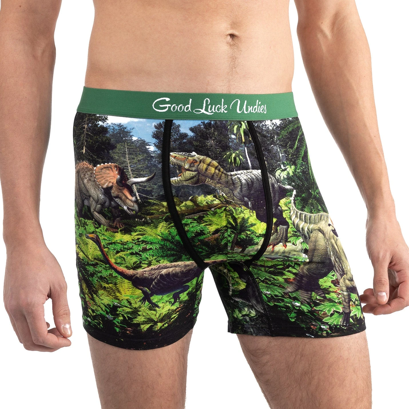 Men's Dinosaur Valley Underwear 2 Men's Dinosaur Valley Underwear - Image 2