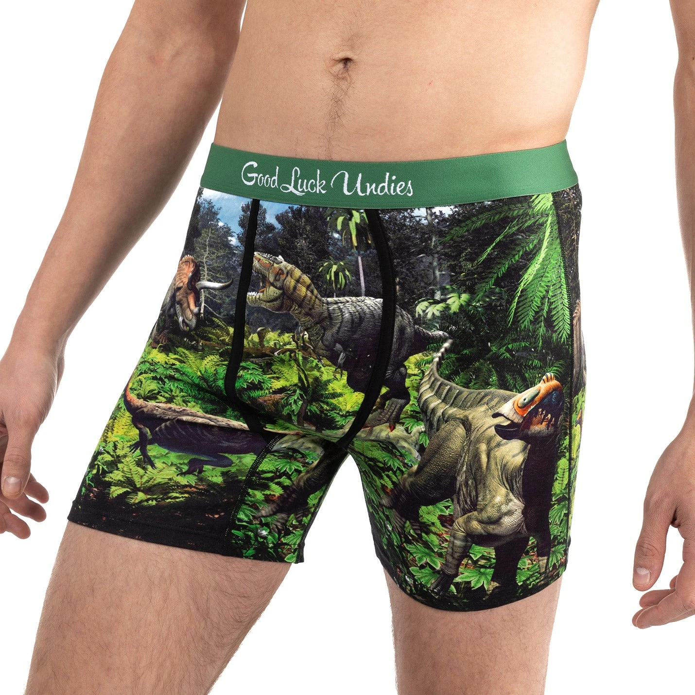 Men's Dinosaur Valley Underwear 5 Men's Dinosaur Valley Underwear - Image 5