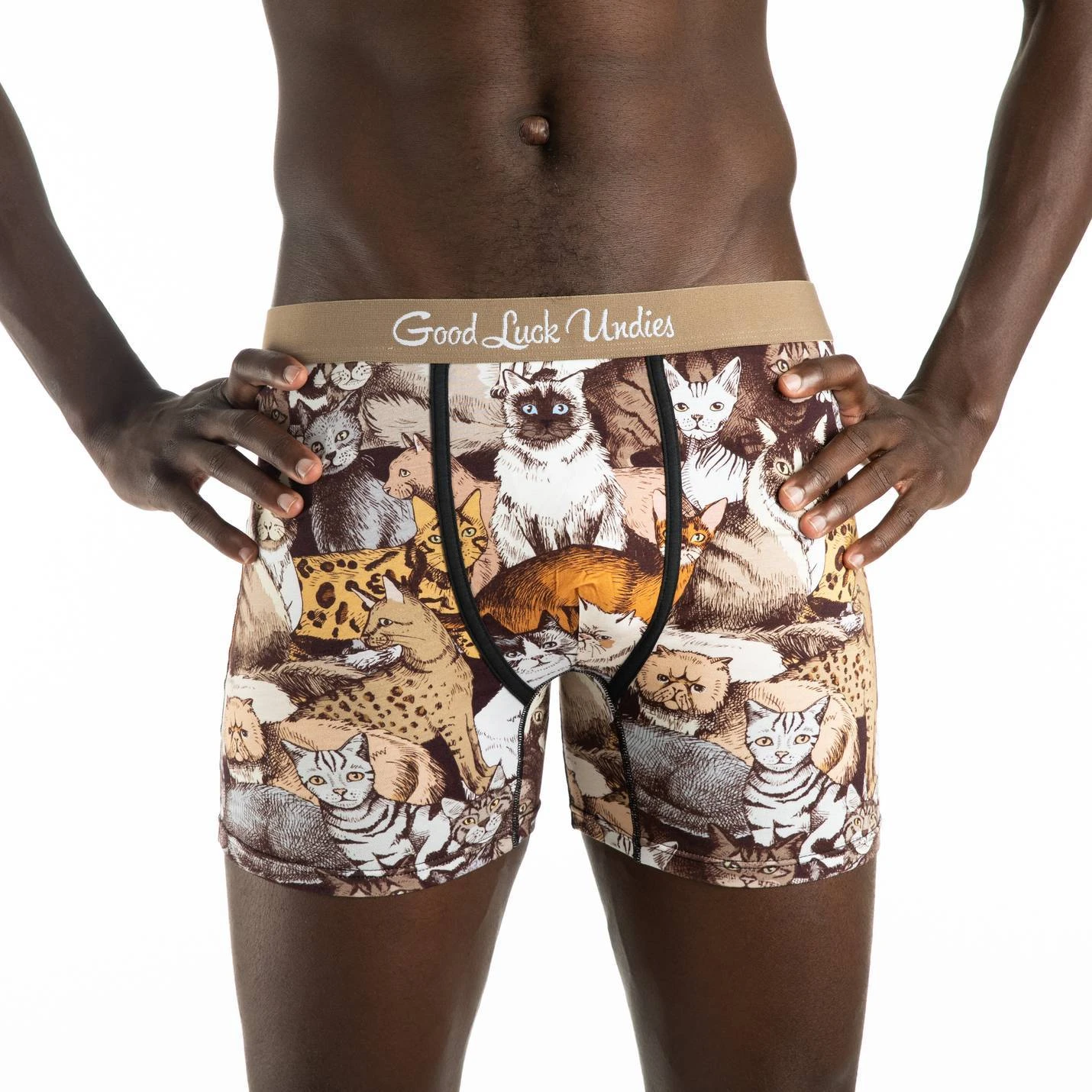 Men’s Social Cats Underwear 2 Men’s Social Cats Underwear - Image 2