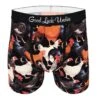 Men's Chickens And Roosters Underwear