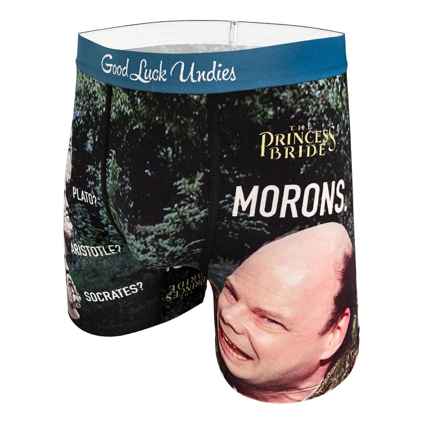 Men's The Princess Bride, Morons Underwear 4 Men's The Princess Bride, Morons Underwear - Image 4
