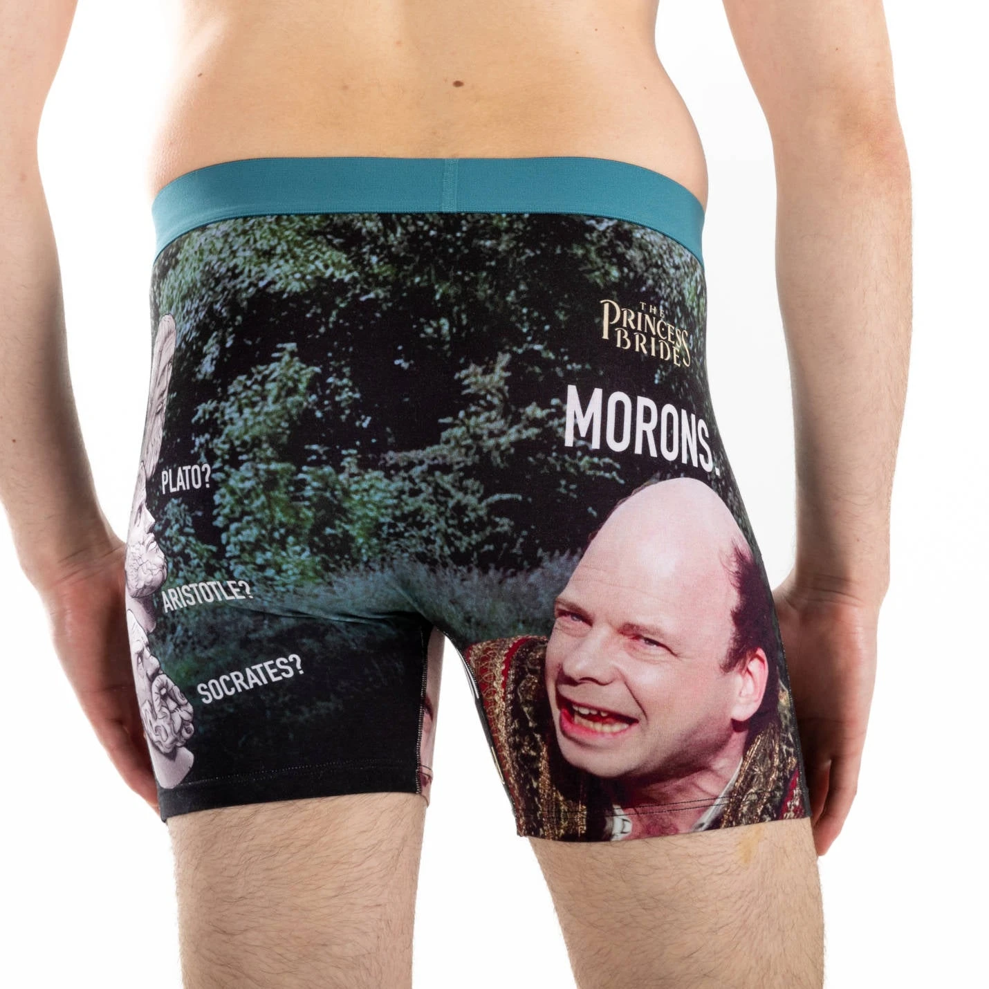 Men's The Princess Bride, Morons Underwear 6 Men's The Princess Bride, Morons Underwear - Image 6
