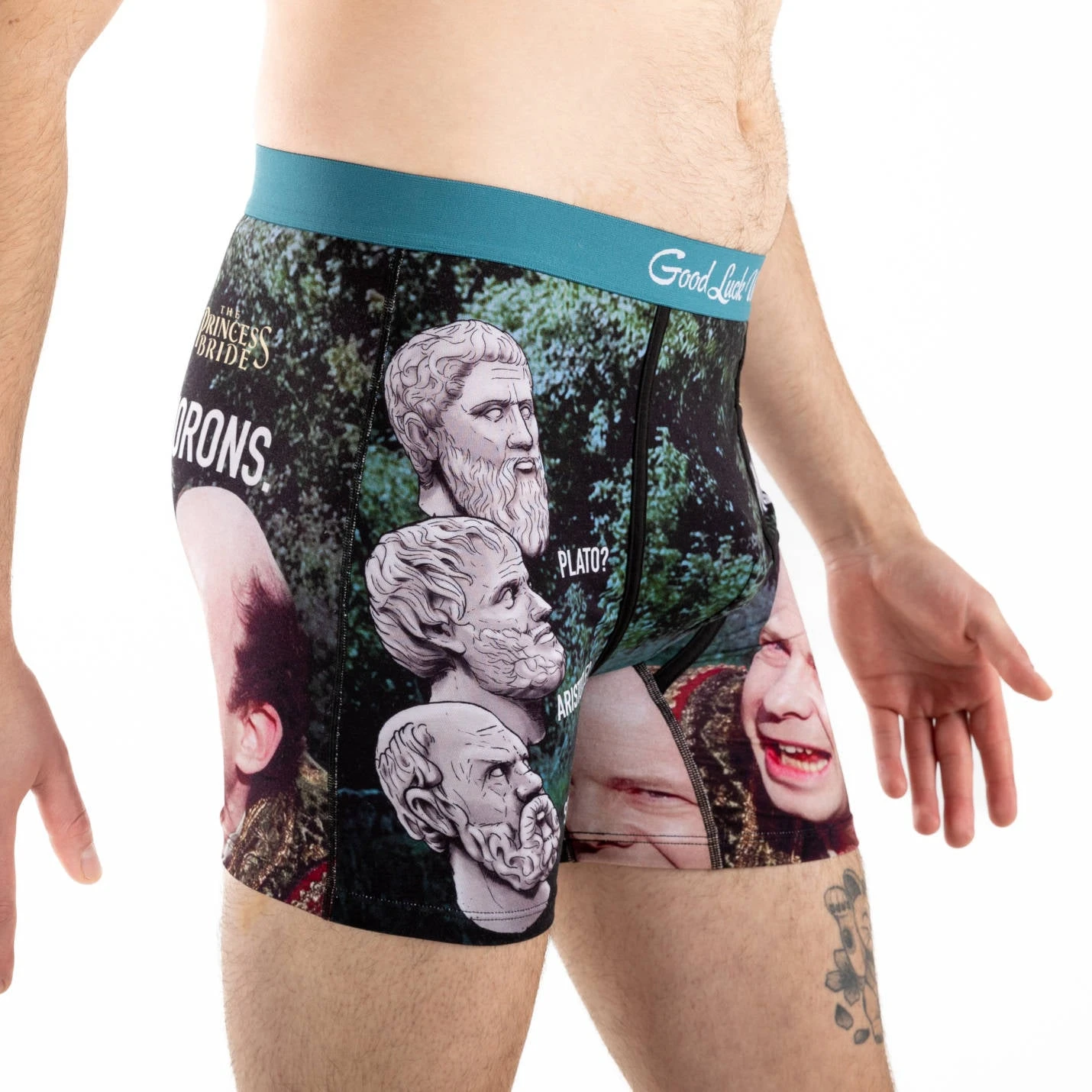 Men's The Princess Bride, Morons Underwear 7 Men's The Princess Bride, Morons Underwear - Image 7