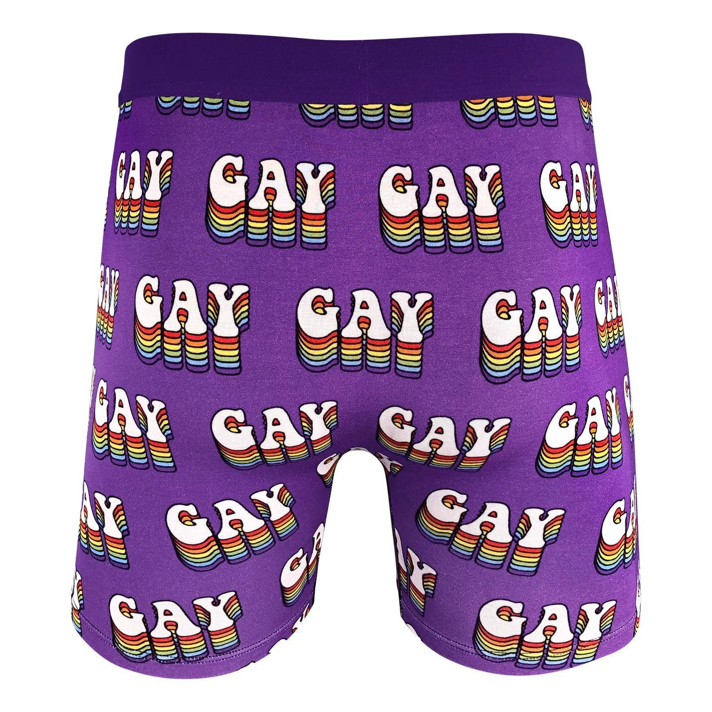 Men's Gay Pride Underwear 3 Men's Gay Pride Underwear - Image 3