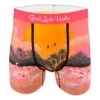 Men's Flamingo Paradise Underwear
