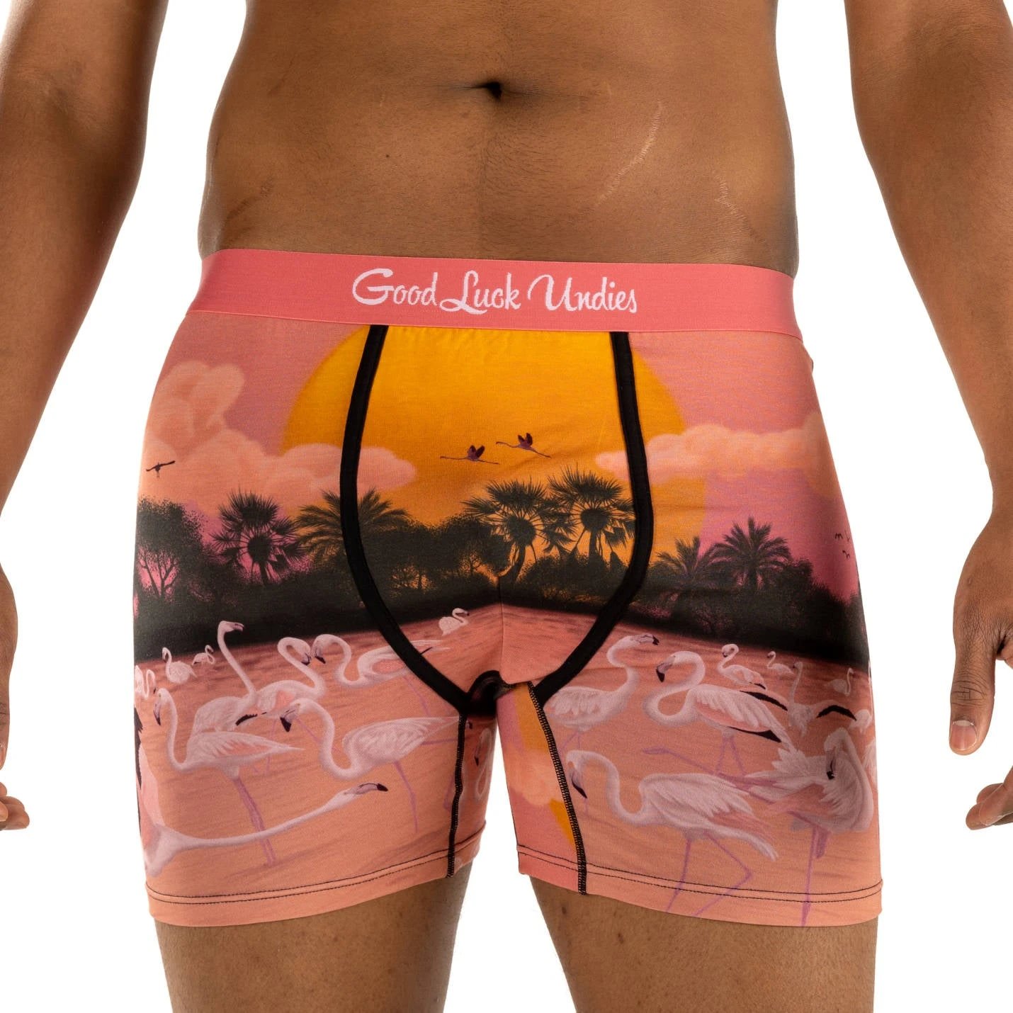 Men's Flamingo Paradise Underwear 2 Men's Flamingo Paradise Underwear - Image 2